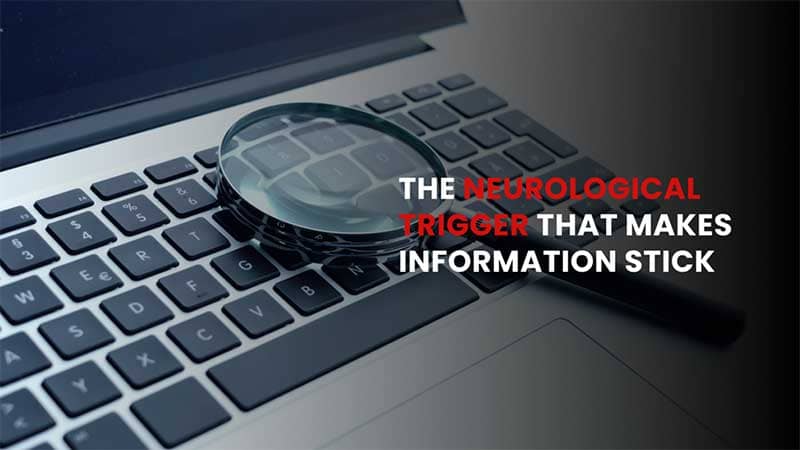 neurological trigger that makes information stick